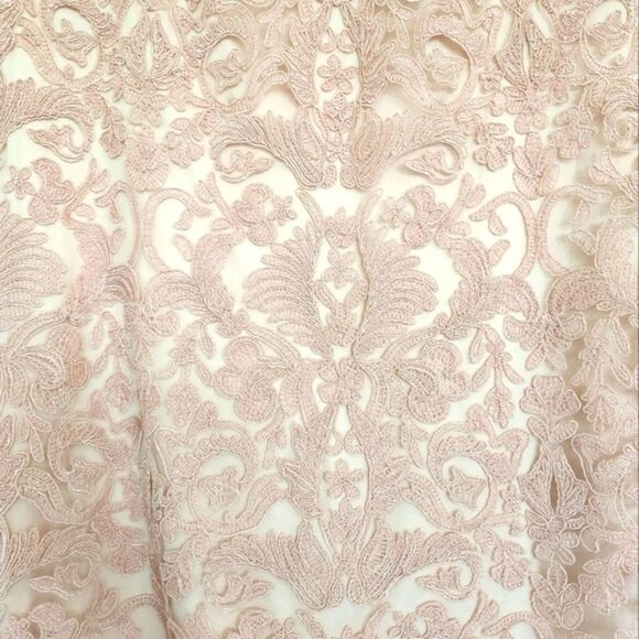 Tadashi Shoji‎ Lace Dress - Picture 3 of 5